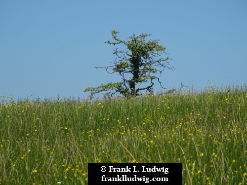 Around Lough Nasool